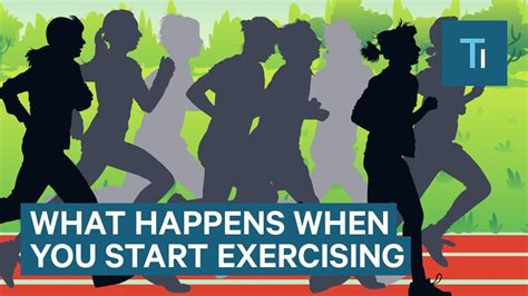 Timeline: What happens to your body when you start exercising.